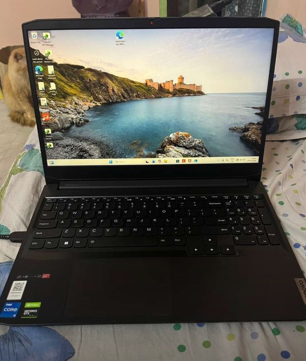 Edition: Windows 11 Home Single