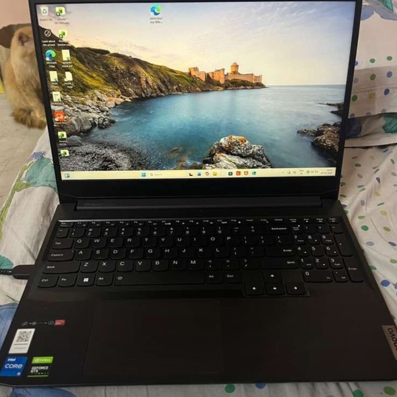 Edition: Windows 11 Home Single