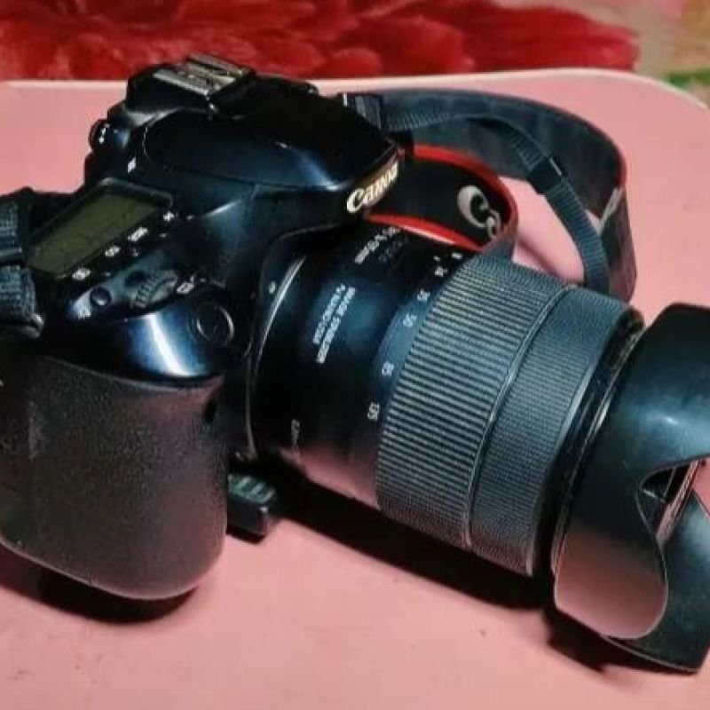 Canon EOS 80D DSLR with 24-105mm kit lens