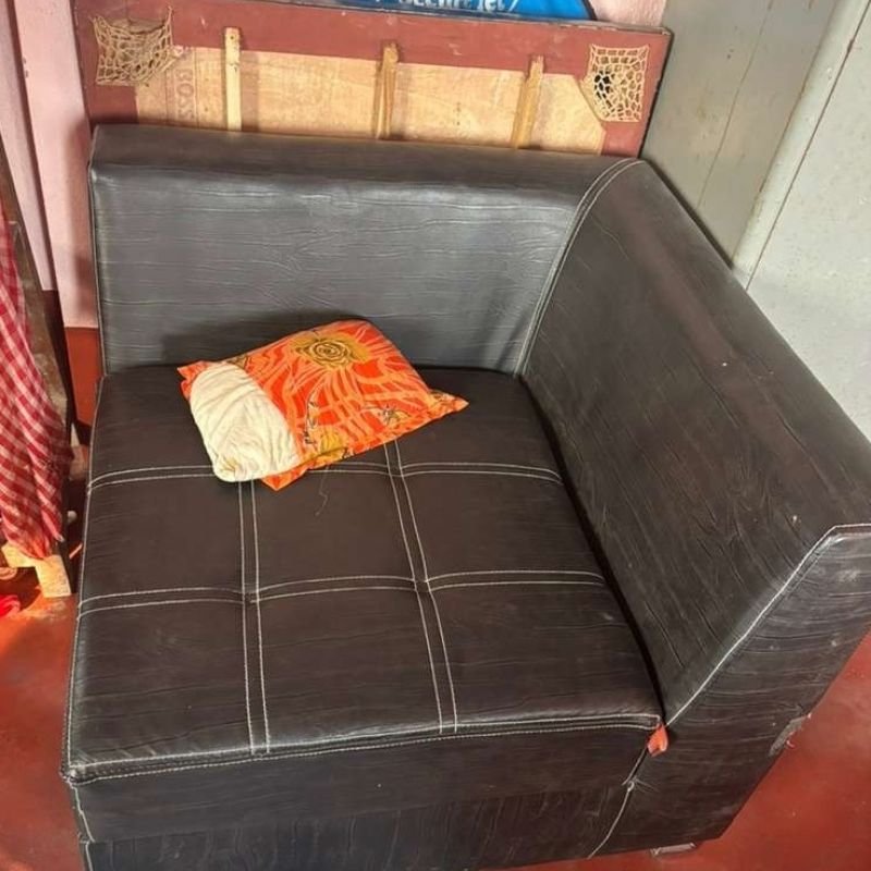 Leatheree L Shape sofa